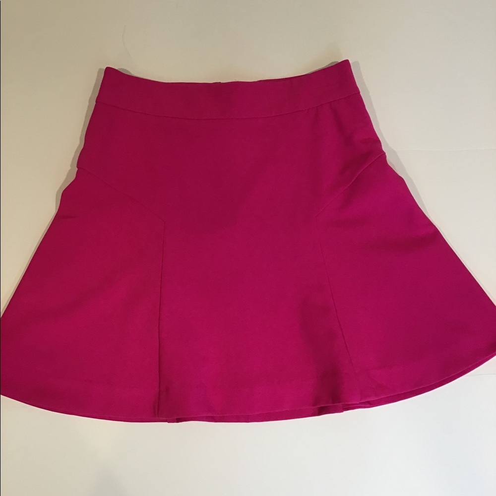 Express Pink lined Skirt